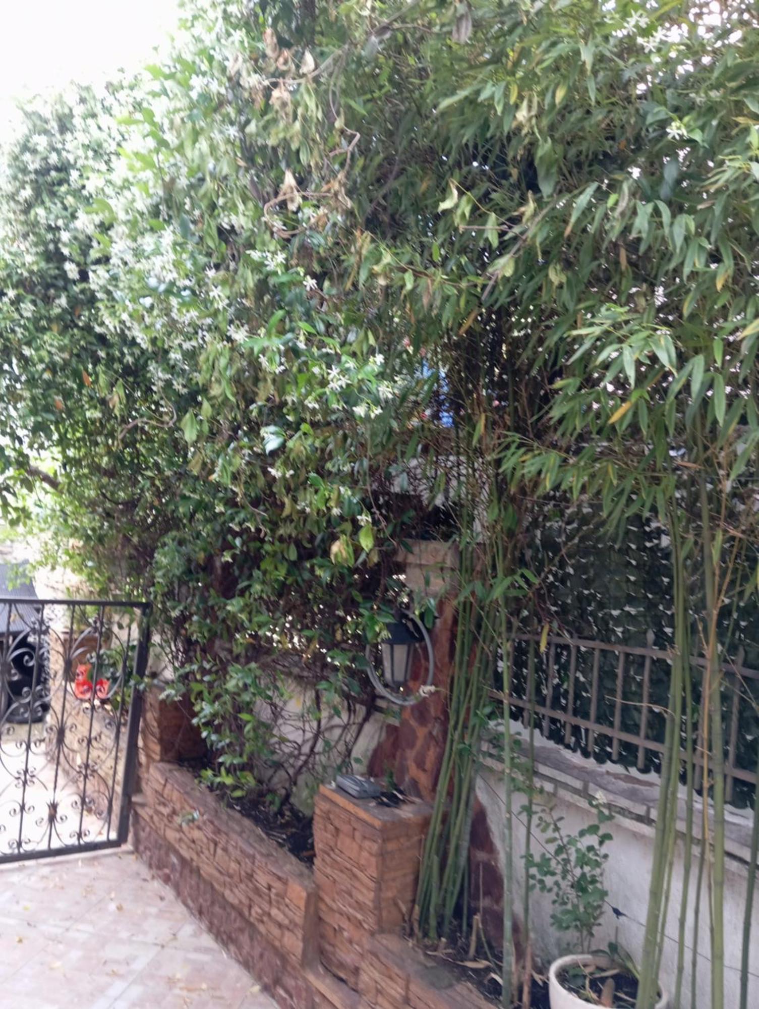 Apartman Twins Nedovic Apartman